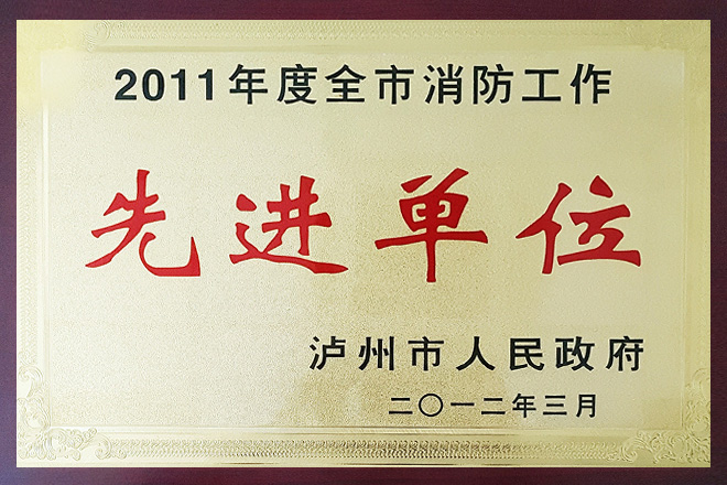 2011年度全市消防工作先進單位